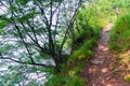 The path along the cliff