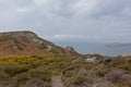 Path along the cliffs with shrubs along the north sea coast of howth , ireland Royalty Free Stock Photo