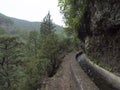 Path along levada, water duct at mysterious Laurel forest Laurisilva, lush subtropical rainforest at hiking trail Los