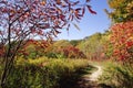 Path Along the Niagara Escarpment Royalty Free Stock Photo