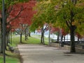 Fall Colored Path