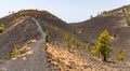 Path along Ruta de los Volcanes