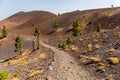 Path along Ruta de los Volcanes