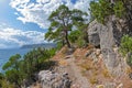 A path along a steep sea shore Royalty Free Stock Photo