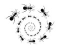 A path of ants running up. View from above. Vector illustration in flat cartoon style