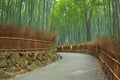 Path through Arashiyama bamboo forest in Japan Royalty Free Stock Photo