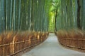 Path through Arashiyama bamboo forest near Kyoto, Japan Royalty Free Stock Photo