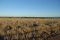 Path through arid, dry landscape, Outback Queensland, Australia