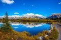 Path around the lake Royalty Free Stock Photo