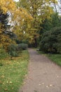 Path in atumn park