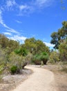 Path in Australian Bushland Royalty Free Stock Photo