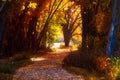Path Through Autumn Colors