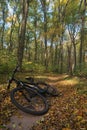 The path in the autumn forest and the bike hardtail Royalty Free Stock Photo