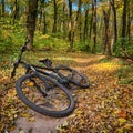 The path in the autumn forest and the bike hardtail Royalty Free Stock Photo