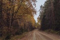 A path into Autumn forest, trees with moss and evening sun. Nature green wood sunlight in background Royalty Free Stock Photo