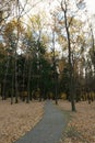 Deserted path in the autumn park. Royalty Free Stock Photo
