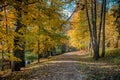 Path in the autumn park along the stream.