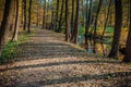 Path in the autumn park along the stream.