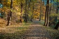 Path in the autumn park. Autumn landscape.