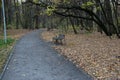 Path in an autumn park goes into the distance, with benches and lanterns next to it Royalty Free Stock Photo