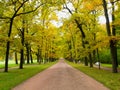 Path in the autumn Park going forward. Royalty Free Stock Photo