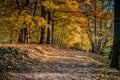 Path in the autumn park.