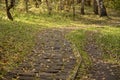 Path in the Park, paved with wooden tiles