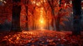The path through the autumn woods is a beautiful sight to behold. The trees are ablaze with color Royalty Free Stock Photo