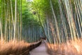 Path through bamboo forest at Sagano, Arashiyama, Kyoto Royalty Free Stock Photo