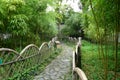 Path through bamboo hurst Royalty Free Stock Photo