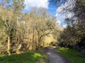 Path on the bank of the river Lourido in the park of the fountain of Stanislaus