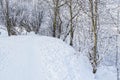 A path between bare thin trees, bushes in the snow in a winter wild park. Footprints in the snow. River