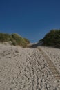 Path from beach into dunes, wooden ladder on sunny day