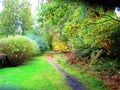 Path in a Beautiful Autumn Park Royalty Free Stock Photo