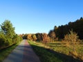 Path and beautiful autumn trees, Lithuania Royalty Free Stock Photo