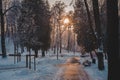 Frozen park in winter under snow. The sun`s rays break through the branches of a trees. Royalty Free Stock Photo