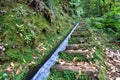 The path by beautiful irrigation canal named levadas in Madeira island