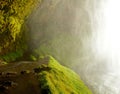 Path behind the Icelandic waterfall