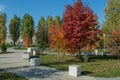 Path, benches and bright trees in Park in fall