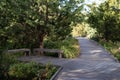 Path with Benches and Green Plants at Hudson River Park in New York City during the Summer Royalty Free Stock Photo