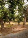 Path Between Benchs in Quinta da Boa Vista Rio de Janeiro Brazil.