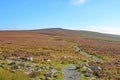 Path on the Blorenge, Brecon Beacons, Wales Royalty Free Stock Photo