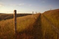 Path bordered by fence Royalty Free Stock Photo