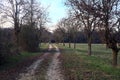 Path bordered by two rows of trees in a park at sunset Royalty Free Stock Photo