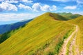 path through borzhava ridge Royalty Free Stock Photo