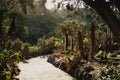 A path in botanical garden in Gran Canaria with various trees, cactus, bright flowers
