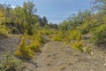 The path at the bottom of the ravine.