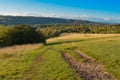 Path at Box Hill, Surrey