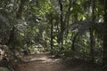 Path in Burle Marx Park