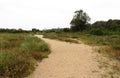 Path on the bush